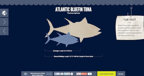 �܉򆢰l(f��)��(chu��ng)���`�еľ�������ʽ��Ϣ�D���O(sh��)Ӌ(j��)