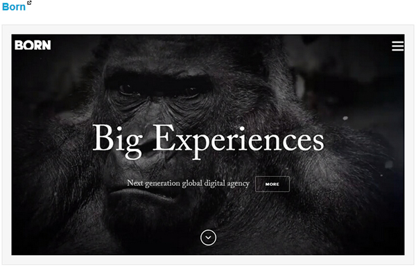 �L��ʽ�Ć�퓾W(w��ng)վ���O(sh��)�p��