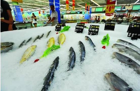 �\Մ�����������Ӌ(j��)��