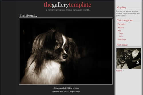 �������I(y��)�W(w��ng)վ��ô����