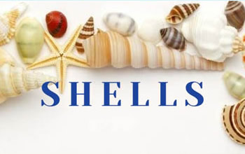 �����M�����Q(m��o)�׾W(w��ng)վ���O(sh��)